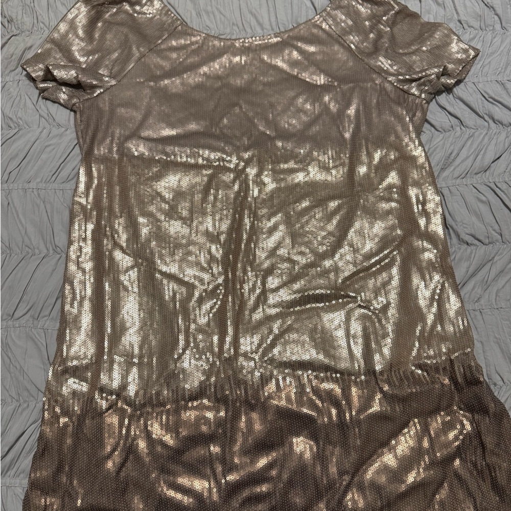 Shimmering Metallic Dress